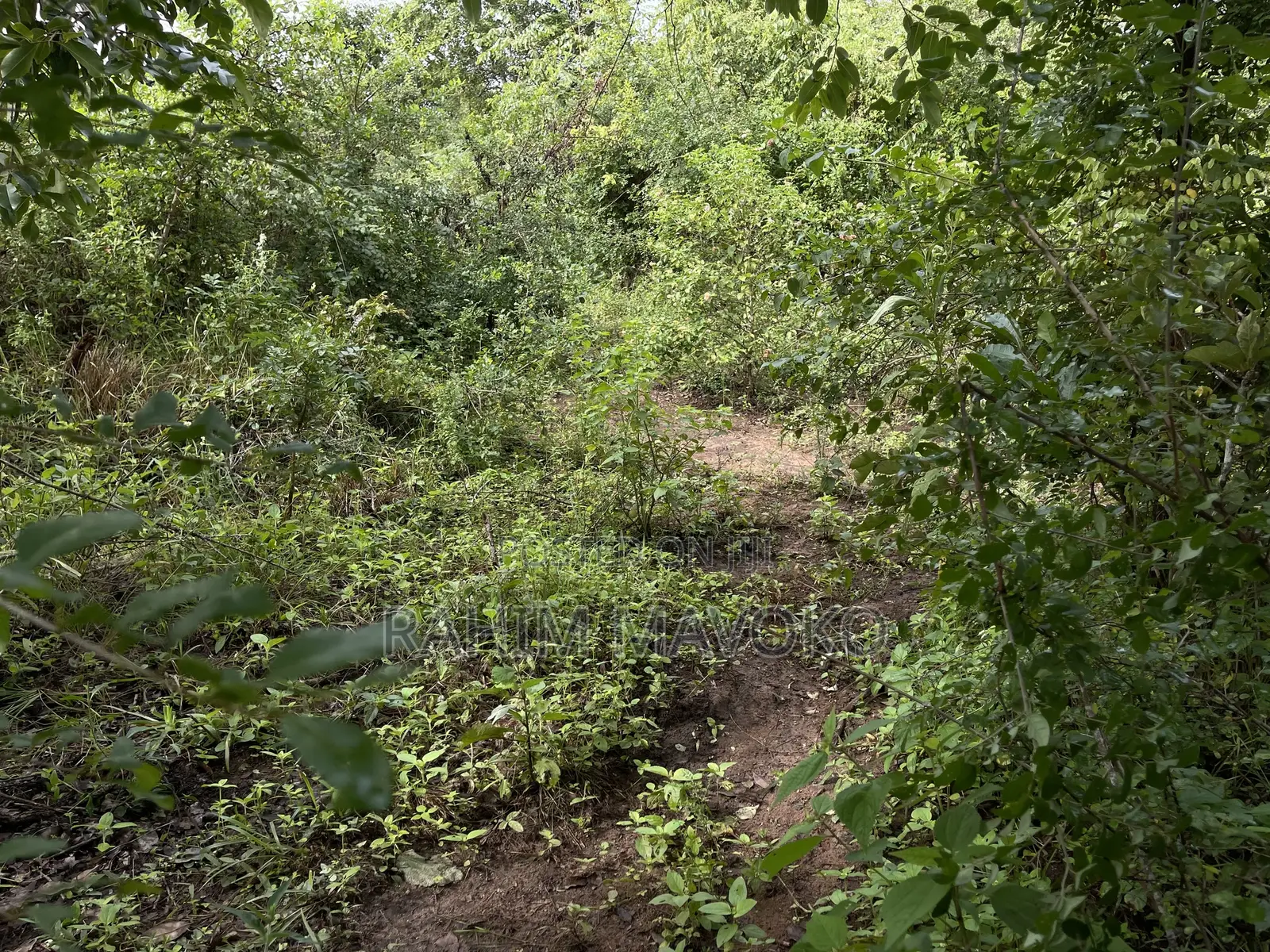 Land for Sale Kiwangwa