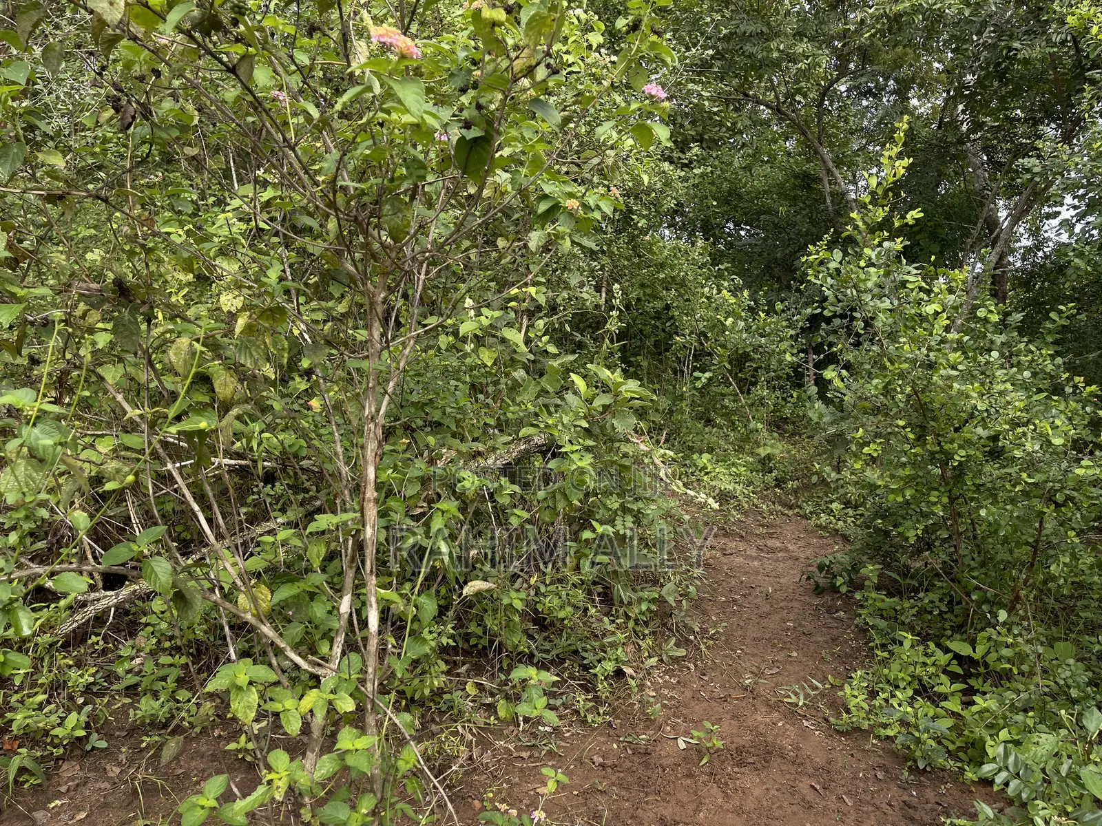 Land for Sale Kiwangwa