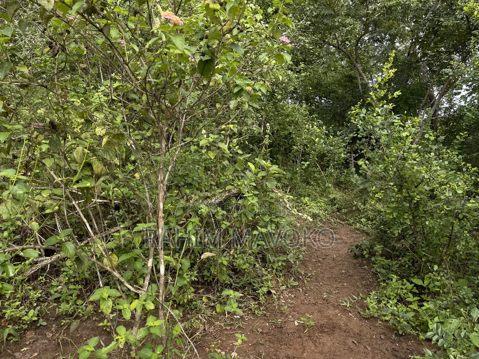 Land for Sale Kiwangwa