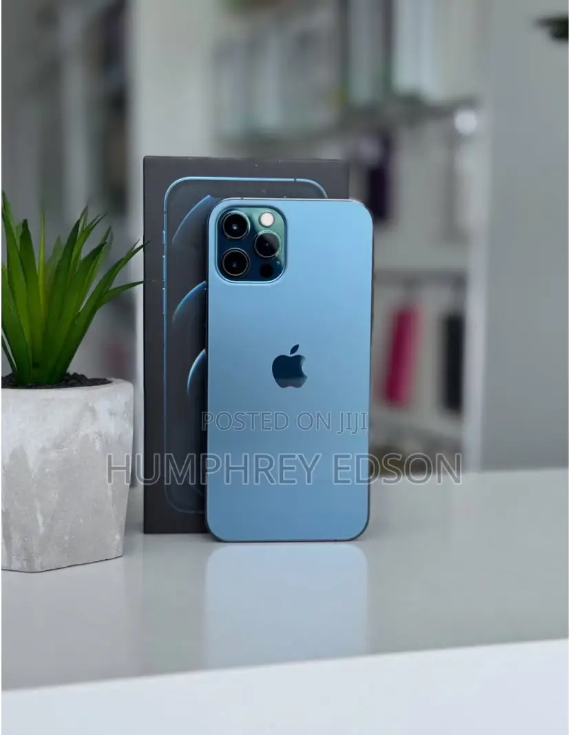 New Apple iPhone 12 Pro Max 256 GB Blue