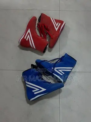 Boxing Shoes