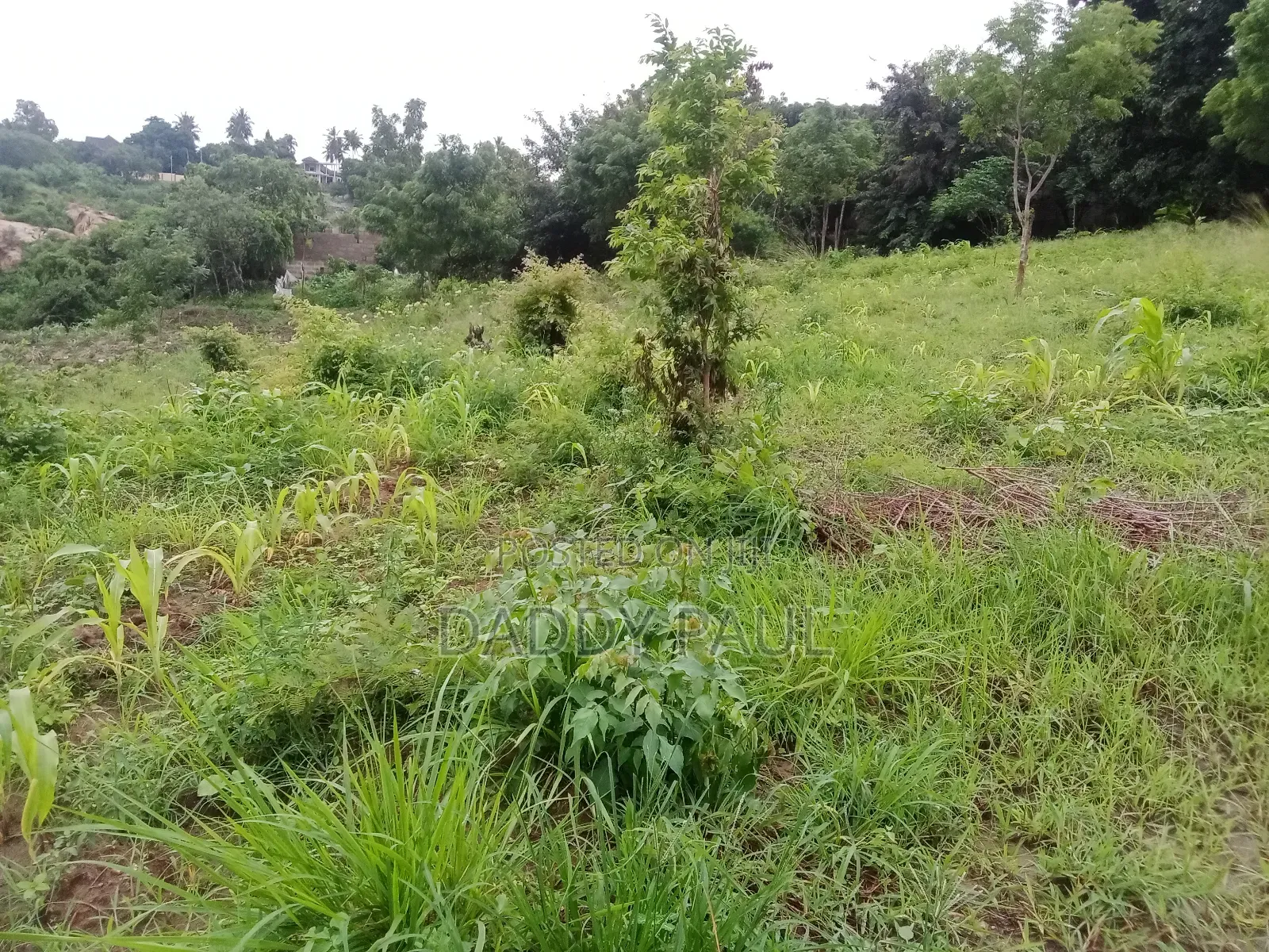 1399 SQM Plot for Sale