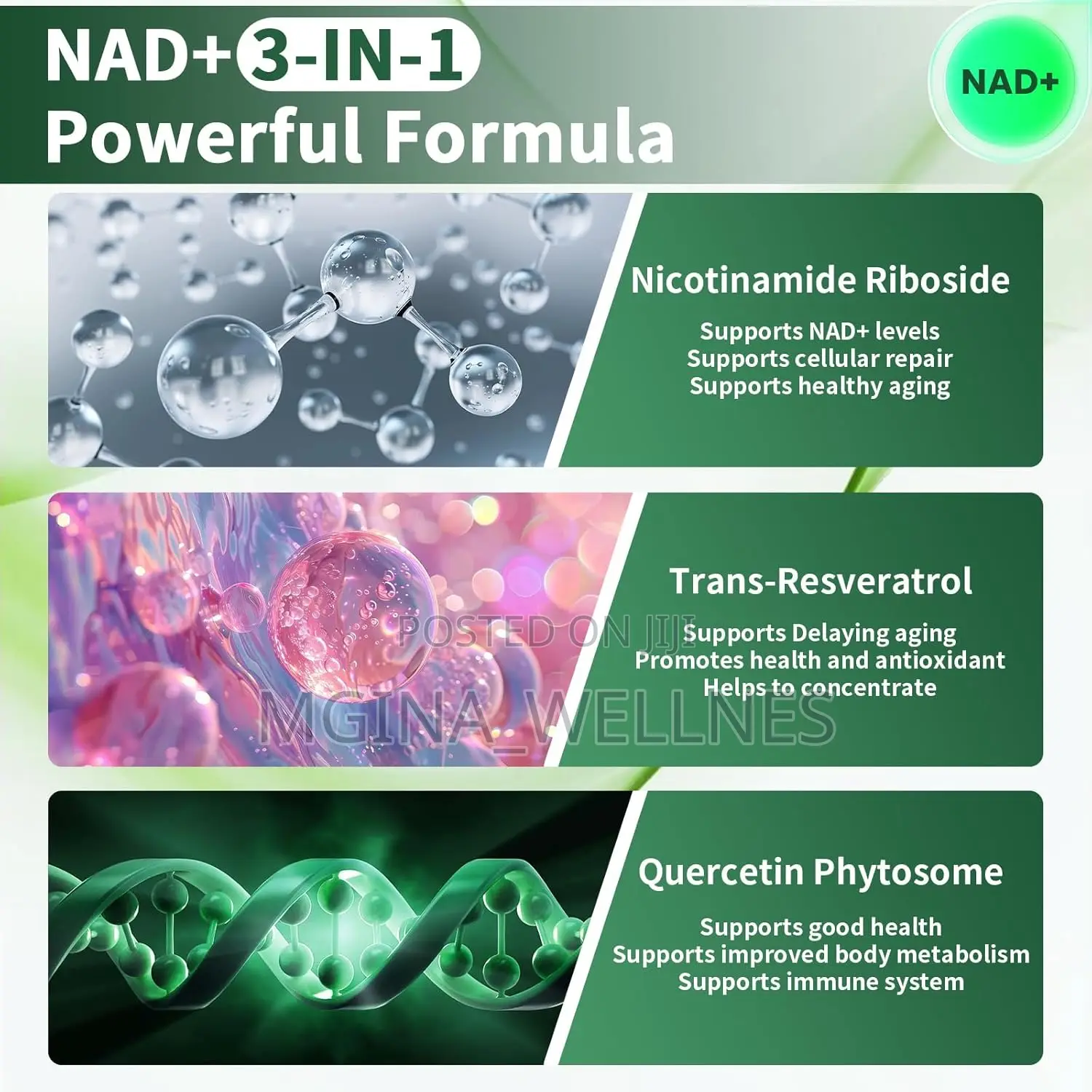 Liposomal Nicotinamide Riboside , Nad Nicotinamide Riboside