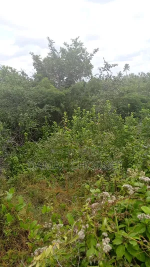 Industrial Plot for Sale Mkuranga Pwani