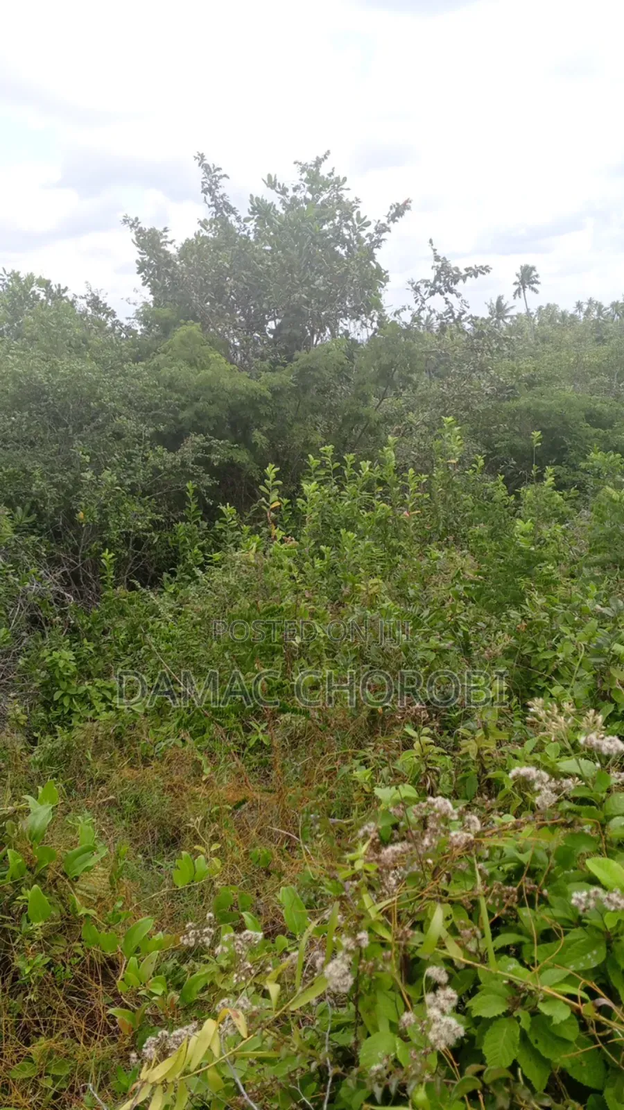 Industrial Plot for Sale Mkuranga Pwani
