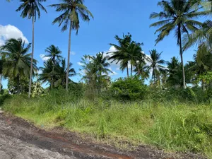 Industrial Plot for Sale Mkuranga Nwanambaya