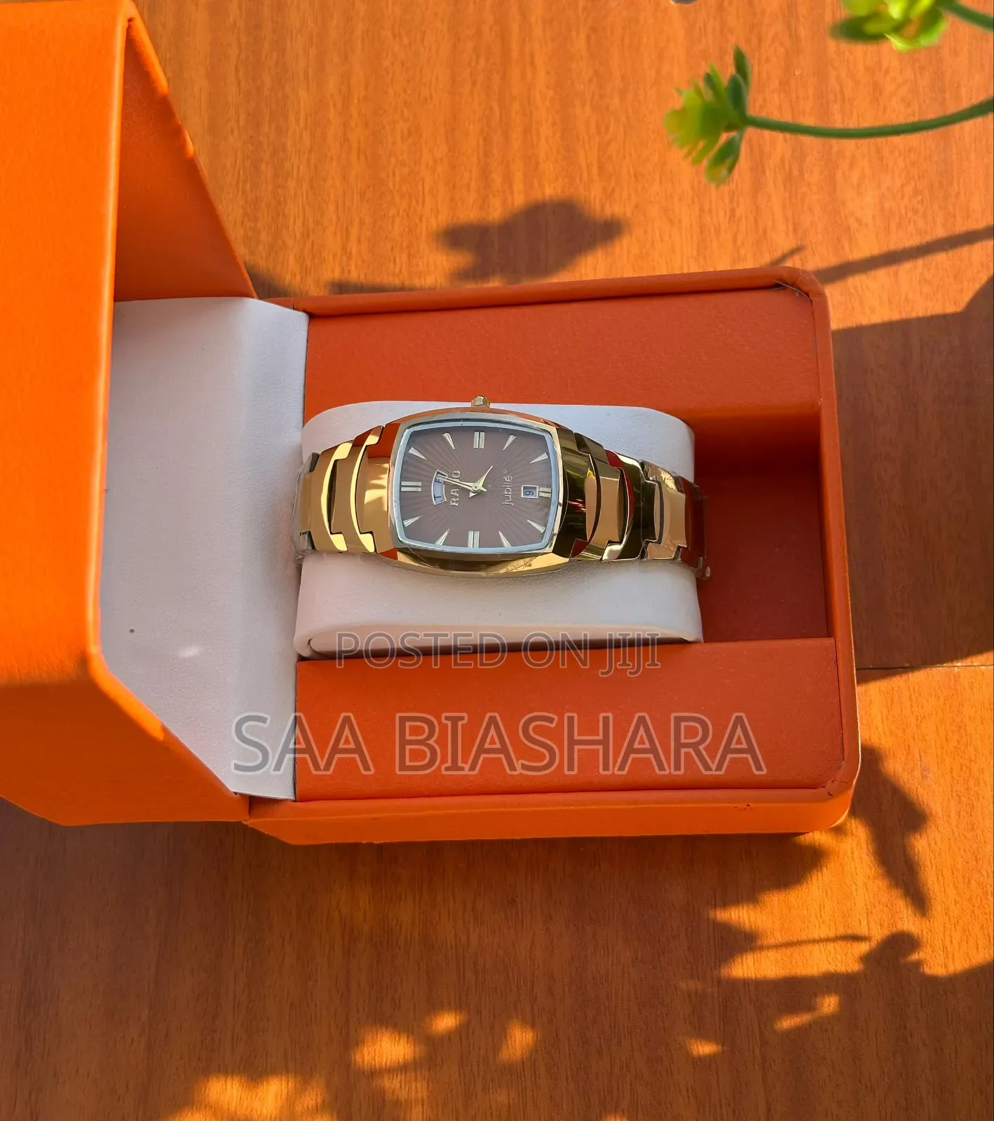 Rado Og Stainless Steel Gold and Brown Belt Classic Watch