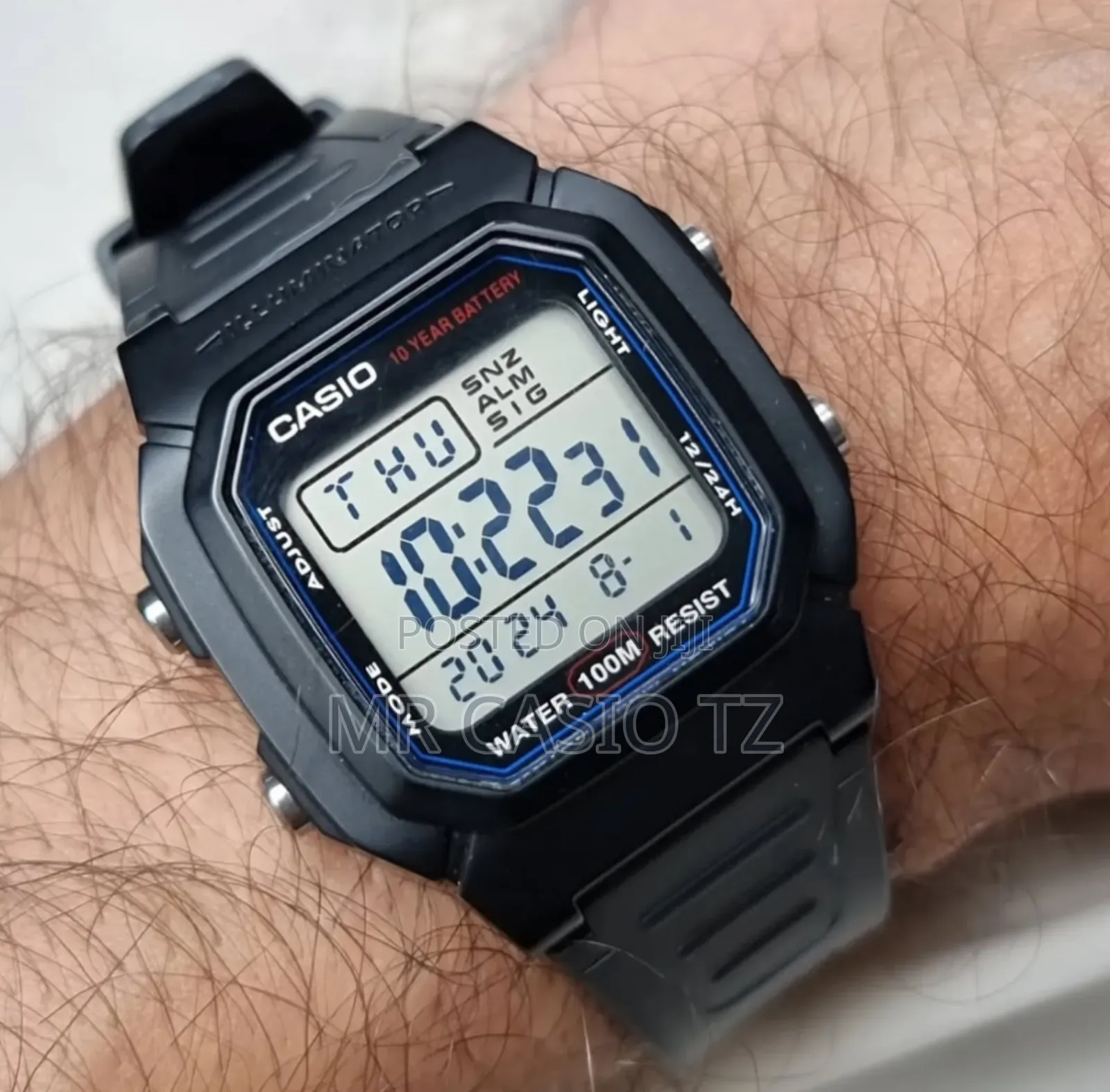 Casio W-800h-1av