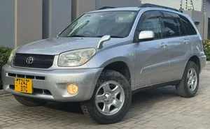 Toyota RAV4 2005 Silver