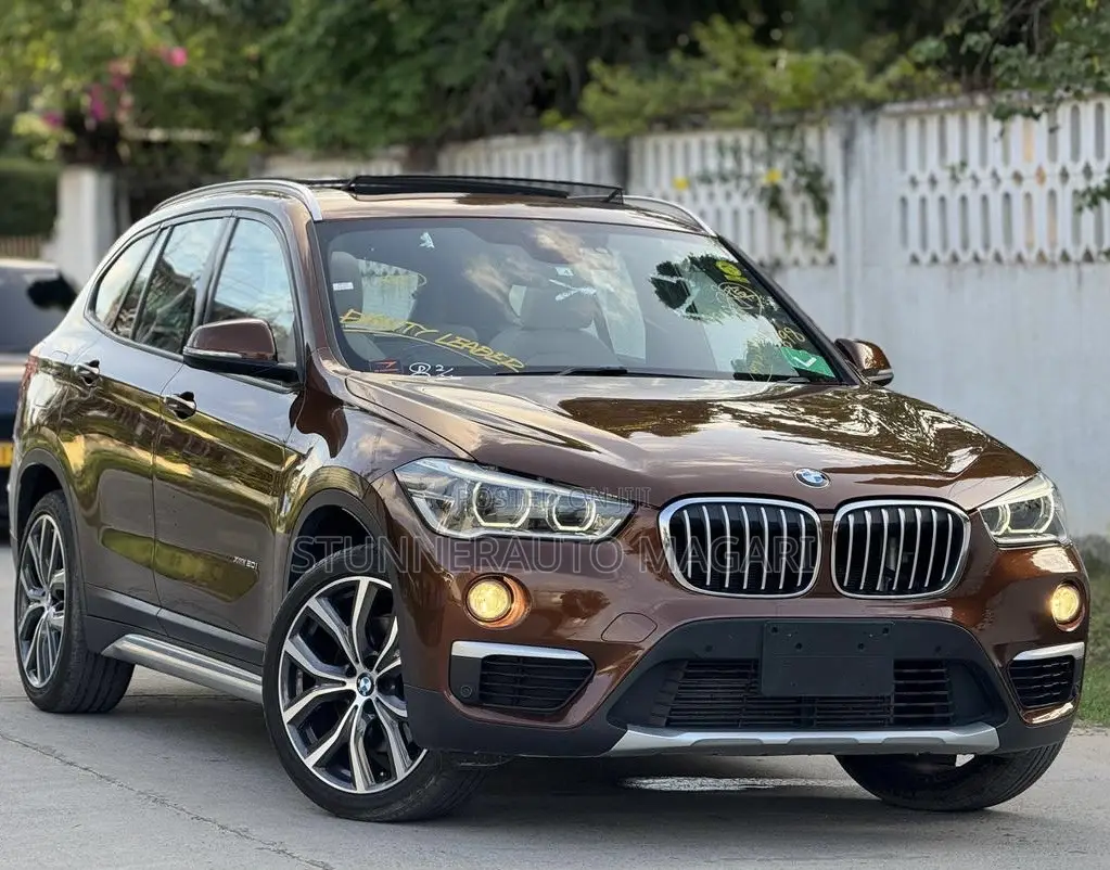 BMW X1 2015 Brown