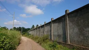 Yard Inauzwa Kitonga