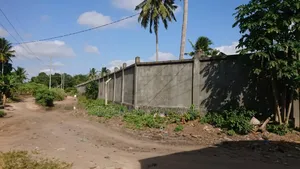 Yard Inauzwa Kitonga