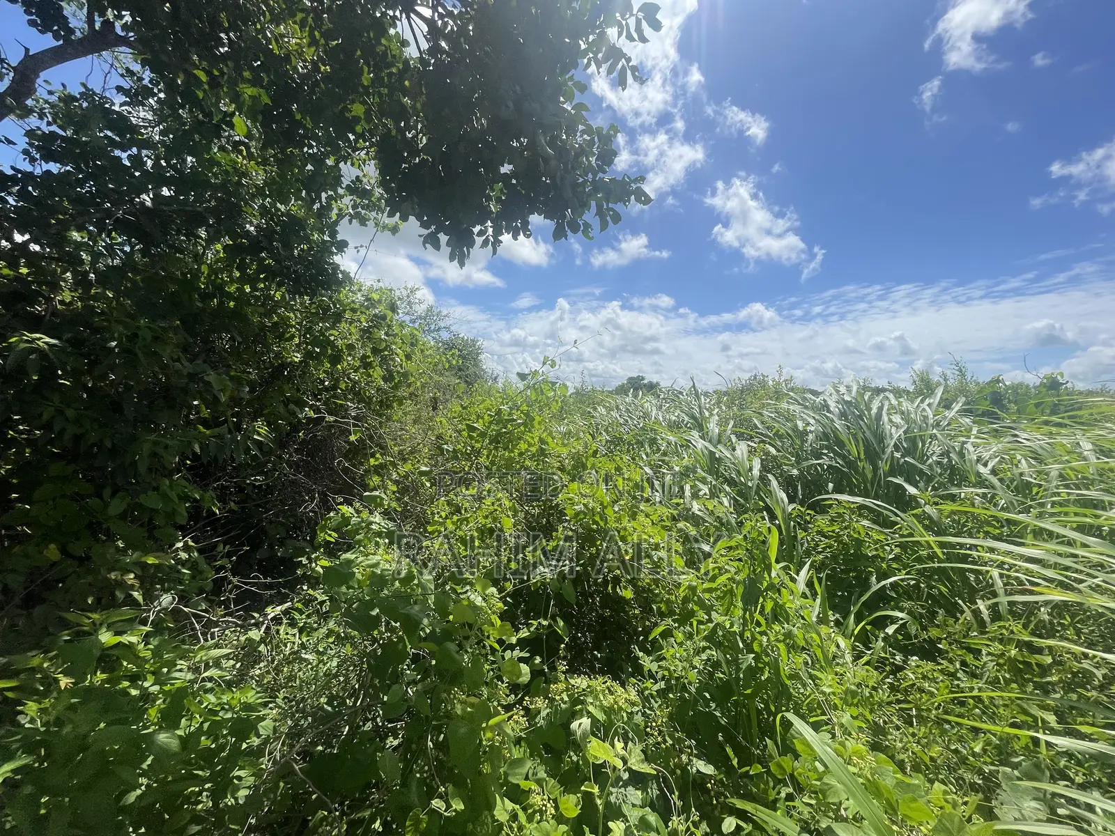 Land for Sale Mbwewe