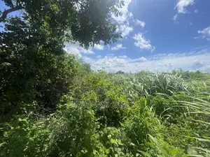 Land for Sale Mbwewe