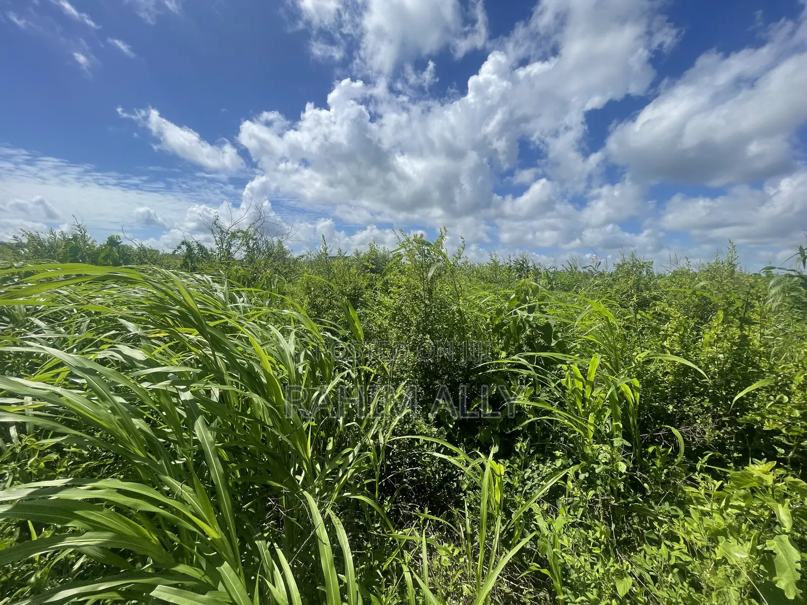 Land for Sale Mbwewe