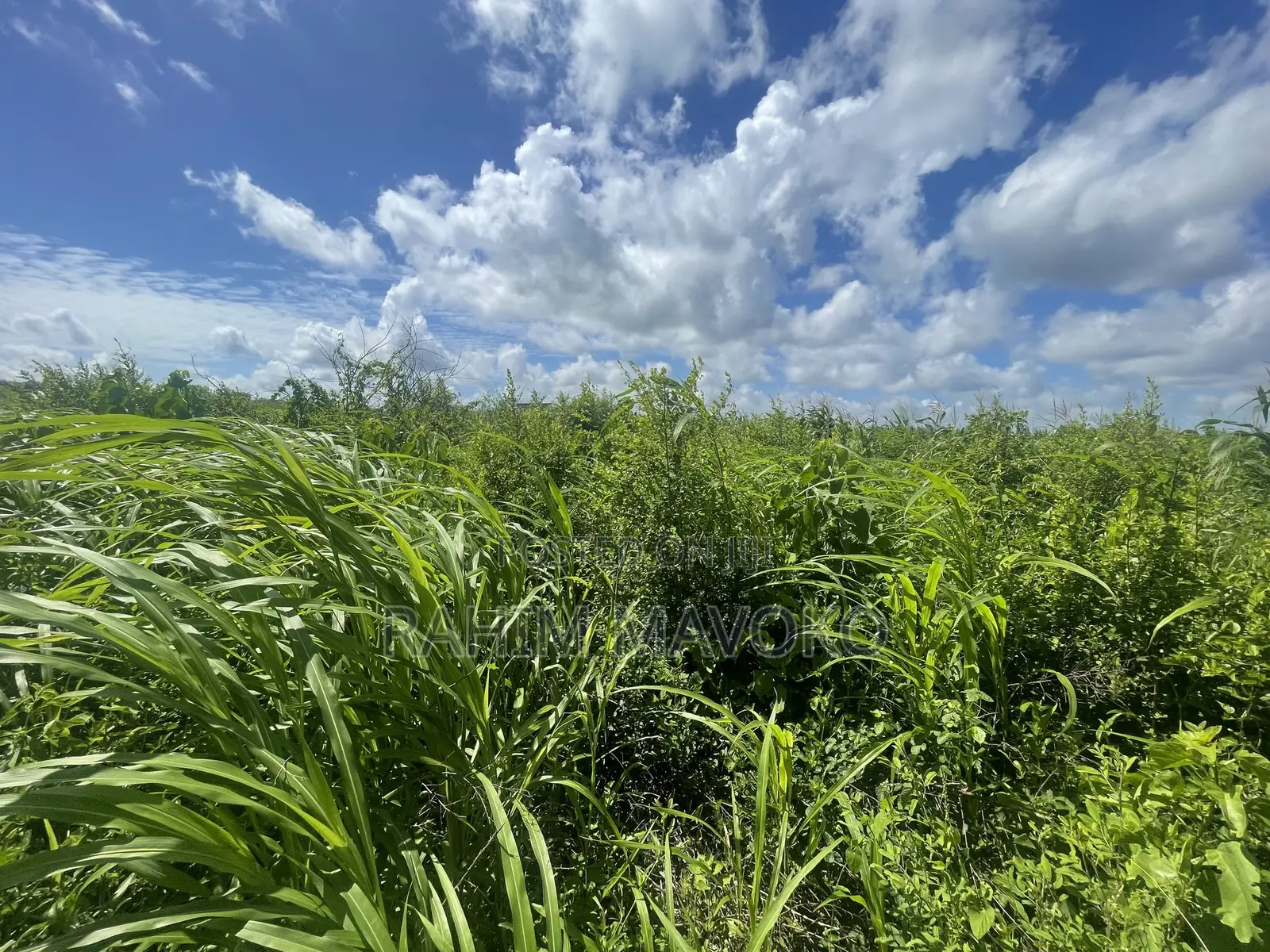 Land for Sale Mbwewe
