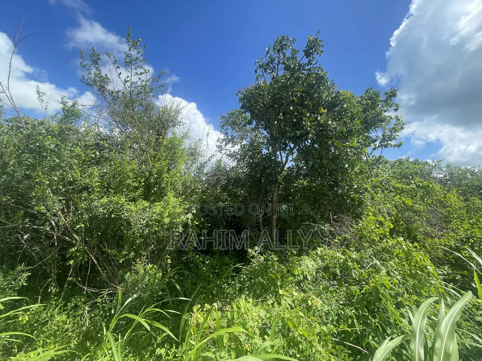 Land for Sale Mbwewe