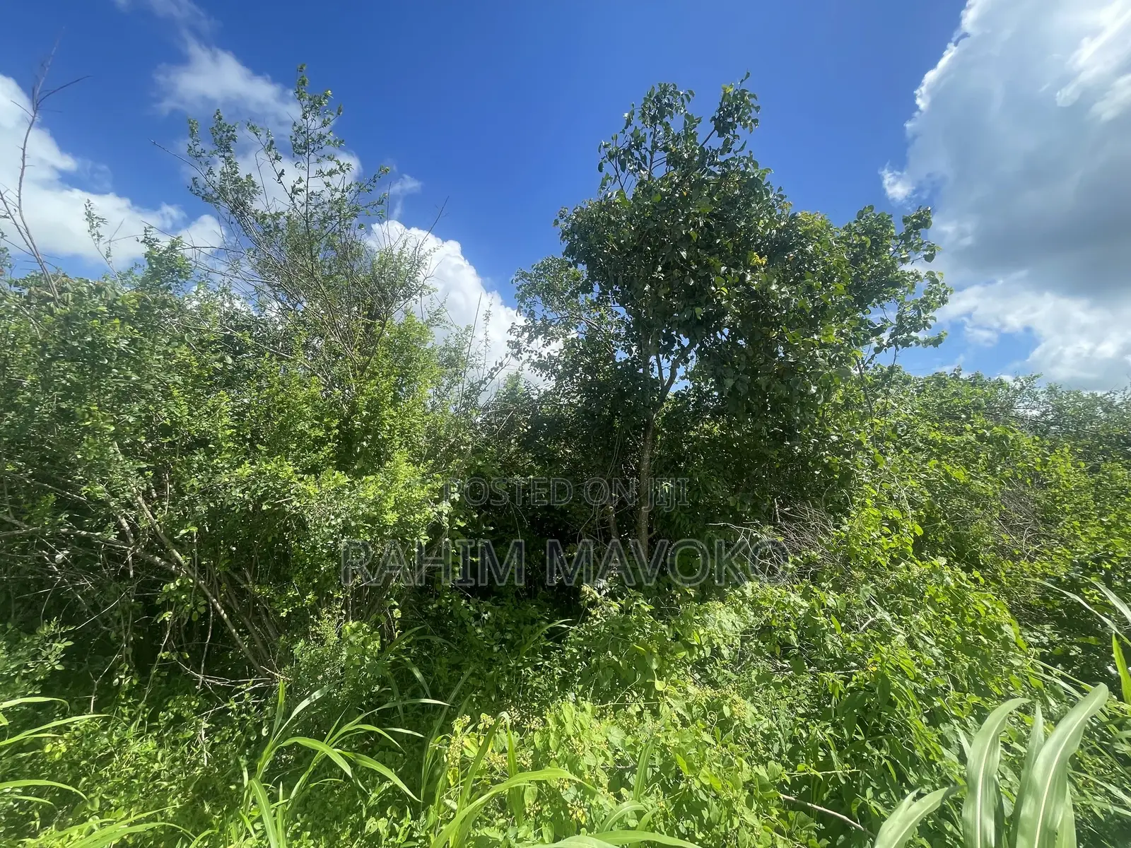 Land for Sale Mbwewe