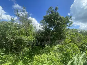 Land for Sale Mbwewe