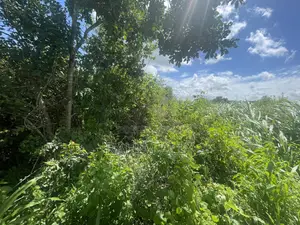 Land for Sale Mbwewe