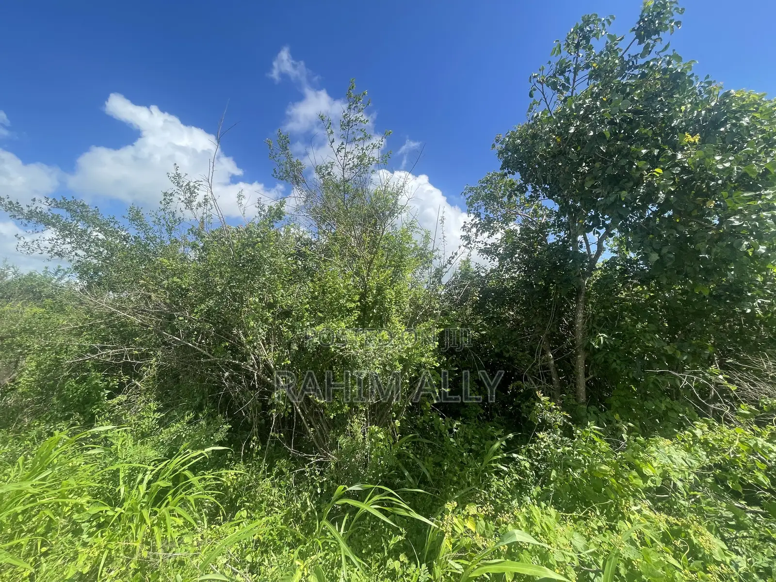 Land for Sale Mbwewe