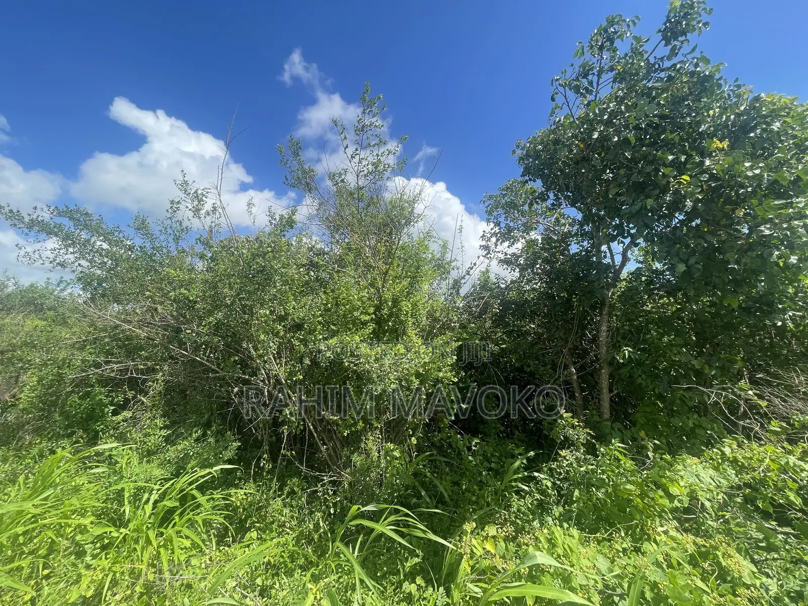Land for Sale Mbwewe