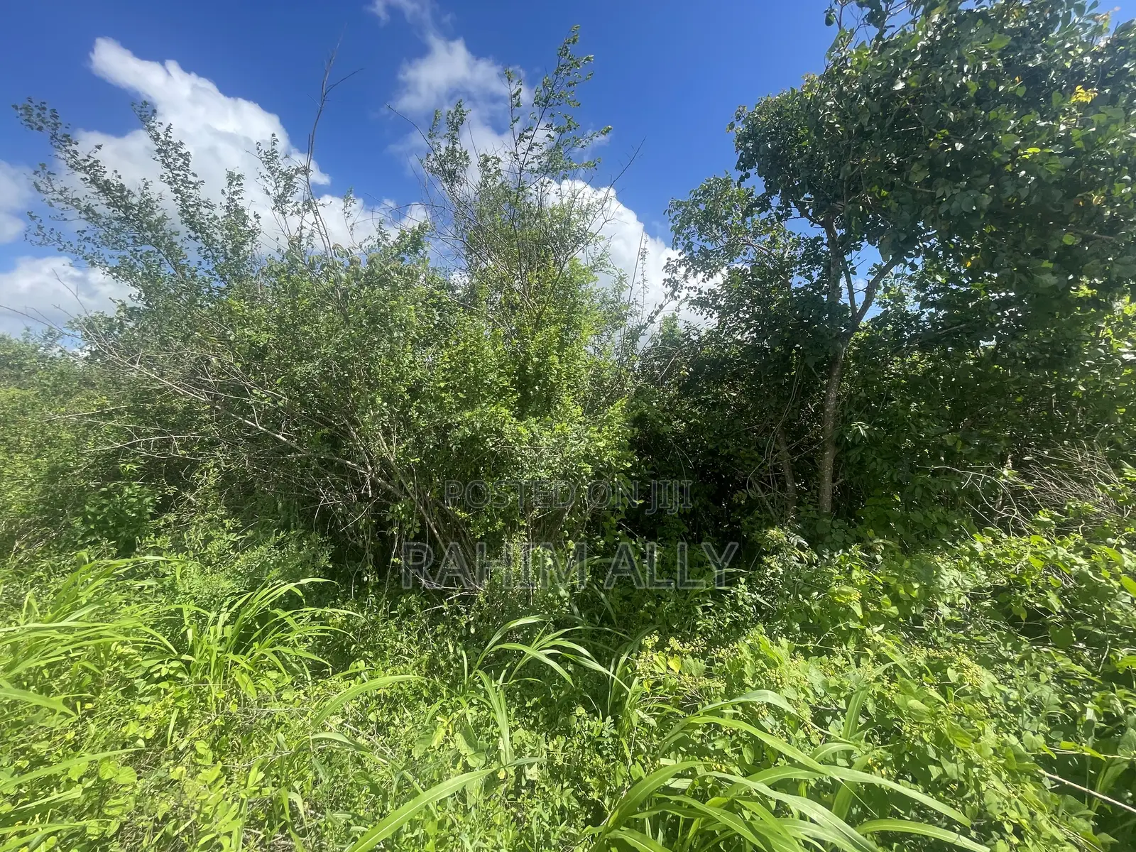 Land for Sale Mbwewe