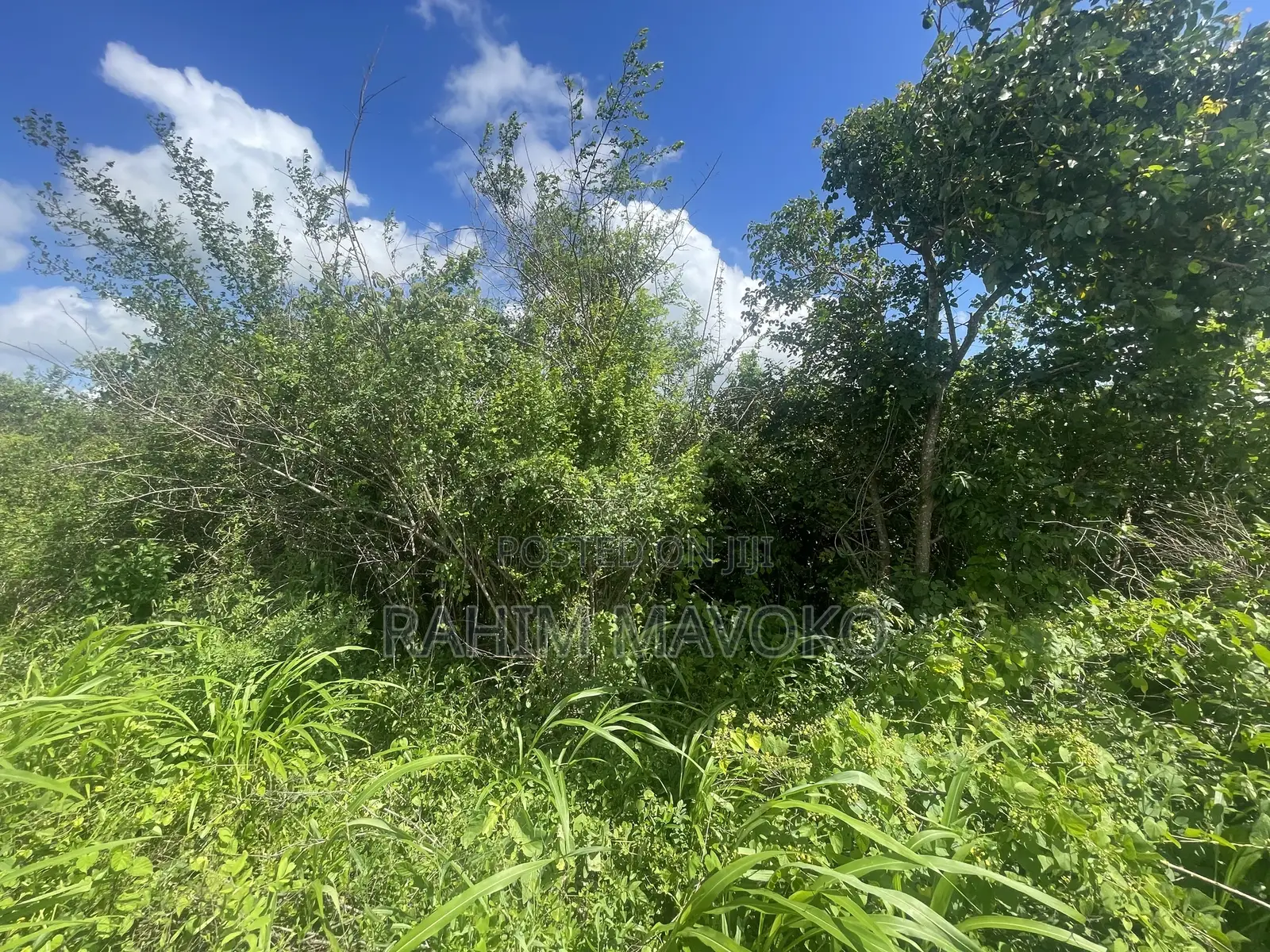 Land for Sale Mbwewe
