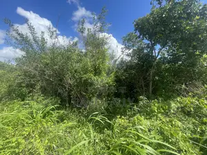 Land for Sale Mbwewe