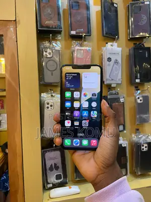 Apple iPhone 11 Pro Max 64 GB Black