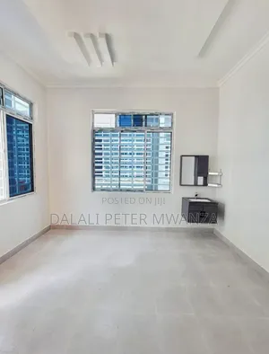 2bdrm House in Airport Road, Ilemela for rent