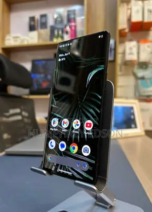 Google Pixel 6 Pro 128 GB Gray