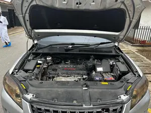 Toyota Vanguard 2010 Silver