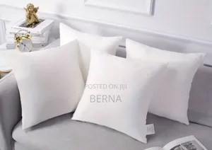 Sofa Pillow