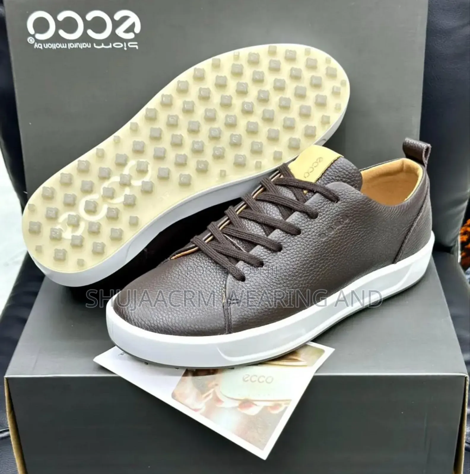 Trend Looks Affordable Price Shoes