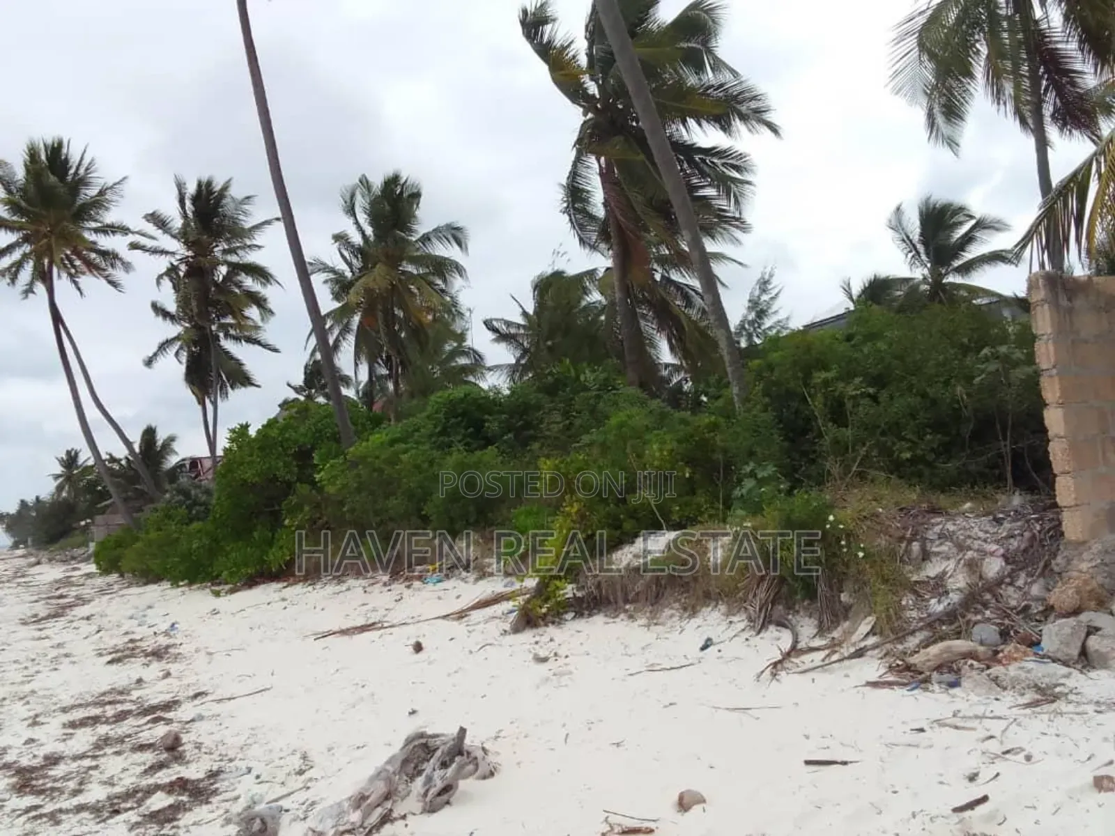 Beach Plot for Sale at Zanzibar