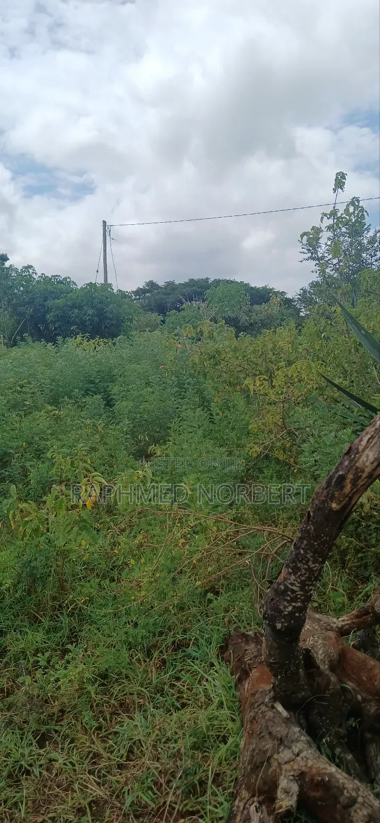 Farm for Sale at Kiserian-Mlangarini Area-Arusha-Tanzania