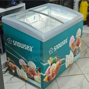 Snowseas Showcase Freezer 300l