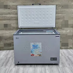 Roch Freezer 250 Liters