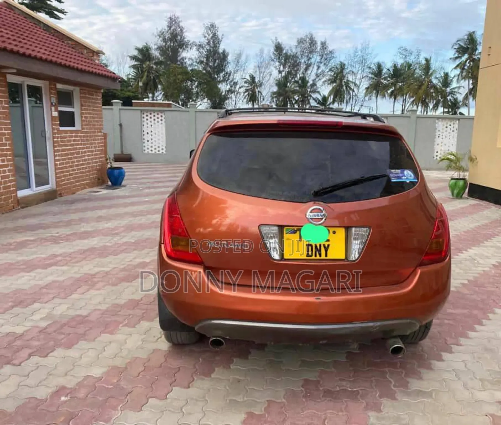 Nissan Murano 2005 Orange