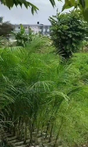 Corner Plot Inauzwa Kibaha Mailinmoja