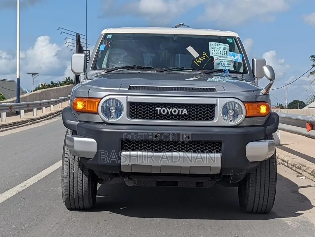 Toyota FJ Cruiser 4x4 Automatic 2011 Silver
