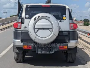 Toyota FJ Cruiser 4x4 Automatic 2011 Silver