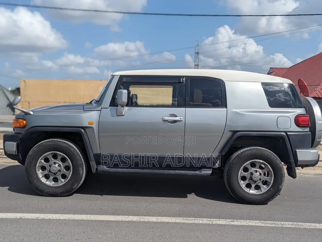 Toyota FJ Cruiser 4x4 Automatic 2011 Silver