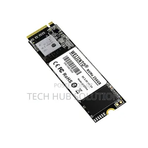 Laptop SSD M2.256gb (Pengo 2)
