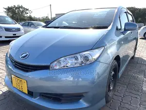 Toyota Wish 2009 Gray