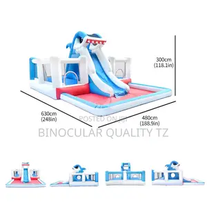 Doctor Dolphin Jumping Castle