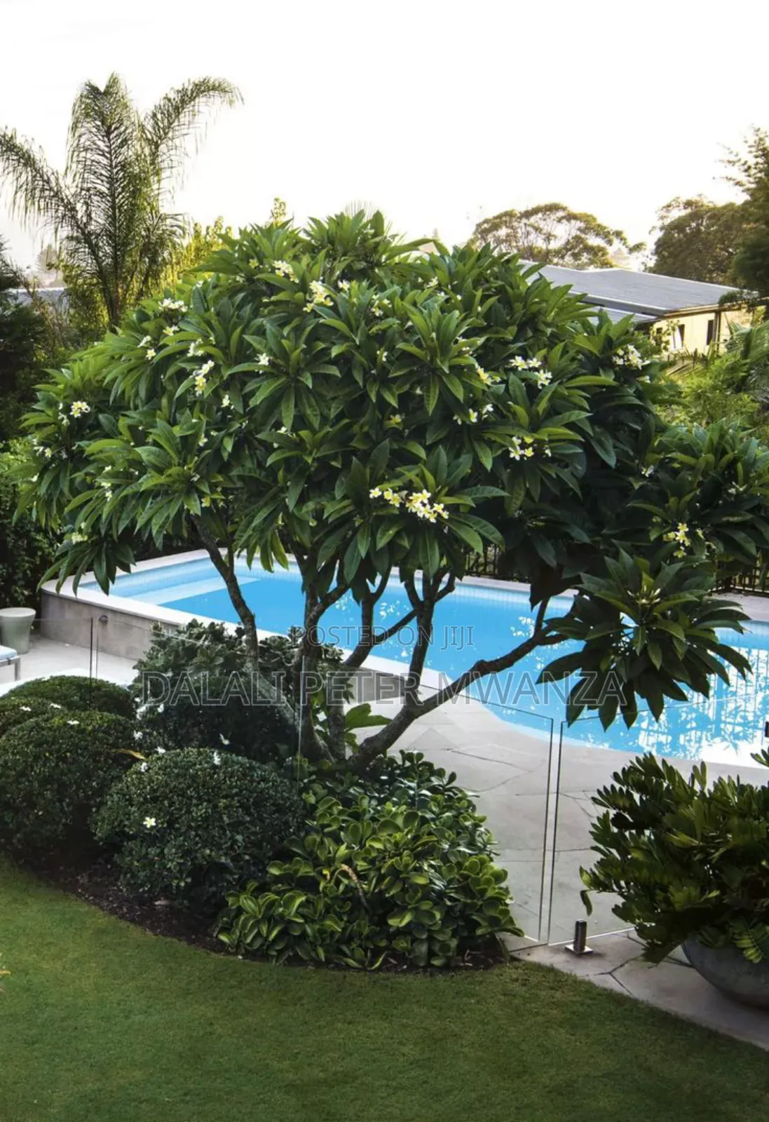 Furnished 3bdrm House in Capripoint, Nyamagana for rent