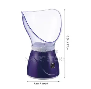 Professional Facial Steamer
