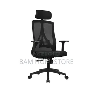 Ergonomic Sedentary Work Chair /Office Chair